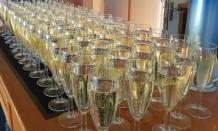 Champagne Flutes Reception Drinks