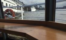 Golden Star party boat views